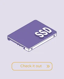 3SSD